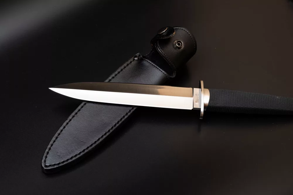 Dirk or Dagger in PC Gaming: Unpacking the Stealthy Blade's Appeal